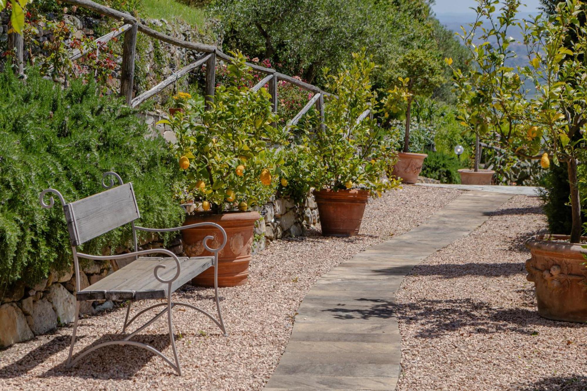 Villa sii felice Buti Exteriör bild