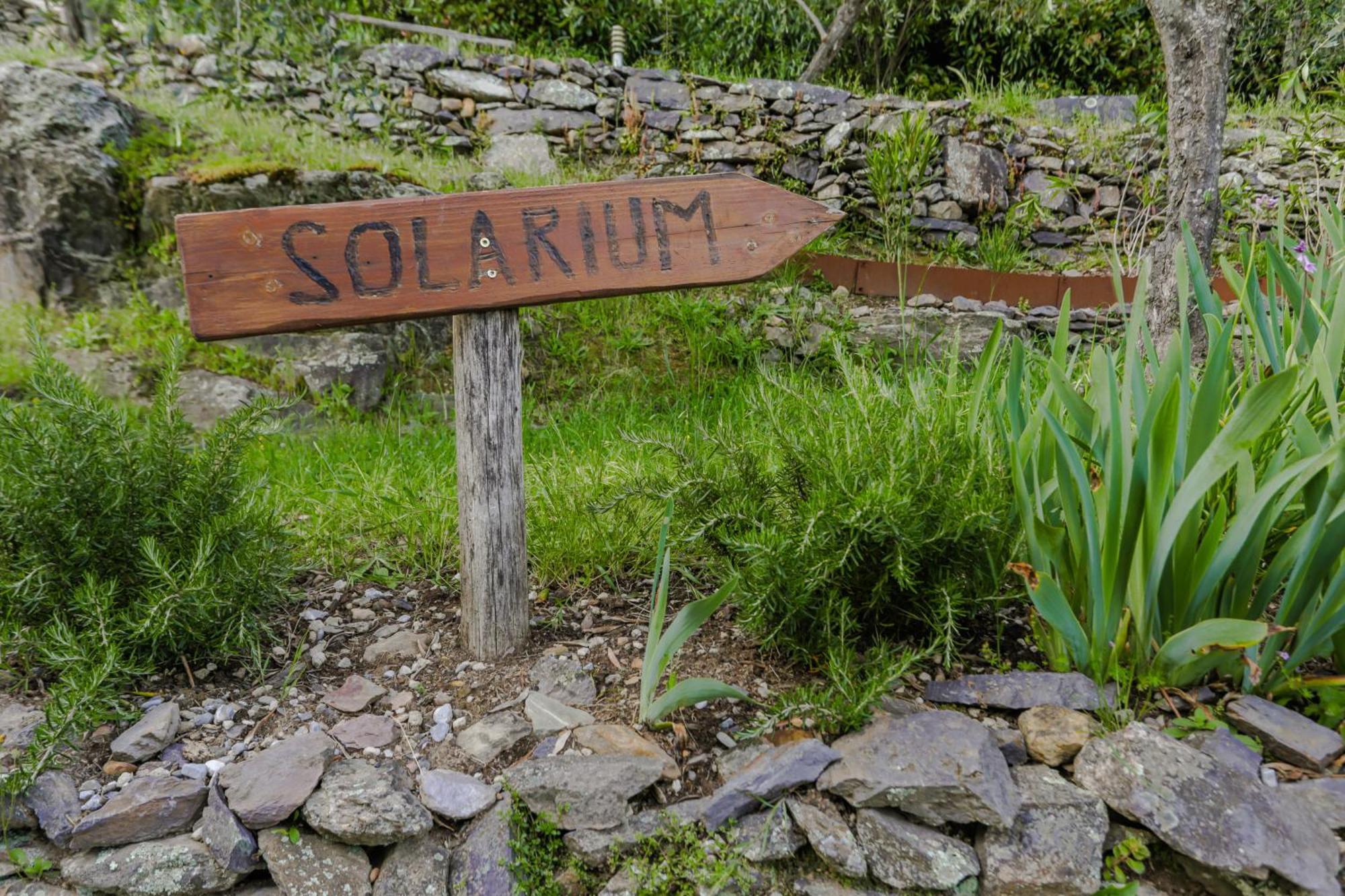 Villa sii felice Buti Exteriör bild