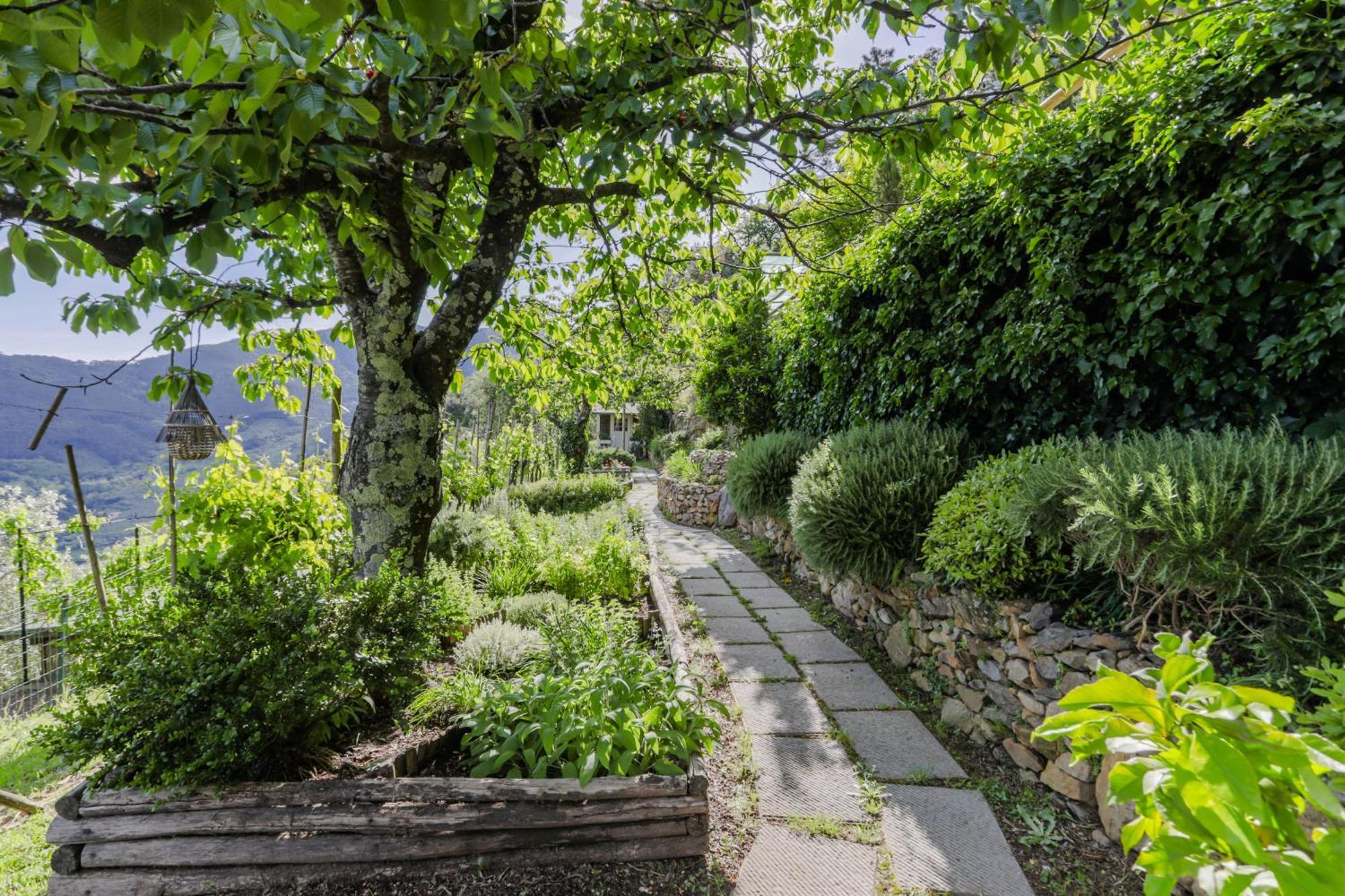 Villa sii felice Buti Exteriör bild